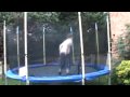 videos de My Two Kids On A Trampoline