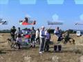 videos de Carreras de galgos