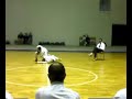 shorinji kempo real italian embu