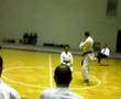 Shorinji Kempo Real Italian Embu