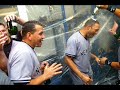 Go Yankees