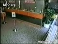Stupid Dumb Ass Robber