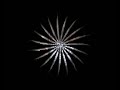 Evolvenza - AMNESTY - AMNISTIA