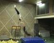 Pascal & Patrick op rekstok (horizontal bar)