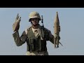 NATO's relations with Bosnia and Herzegovina 3/3