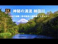 神秘の清流 柿田川 〜8KVRで体験！空中散歩と絶景癒しスポット〜/Explore the Enchanting Crystal Waters of Kakita River with 8KVR!!!