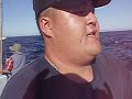 yellowtail fishing in seaforth landing on san diego thanx