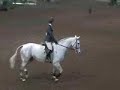 maclay
