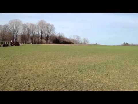 how to grow and harvest rye