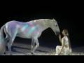 Appassionata Voyage Firenze Balletto Cavallo Bianco