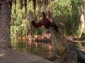 Croc Attack, Joe Dirt Croc Attack, Joe Dirt