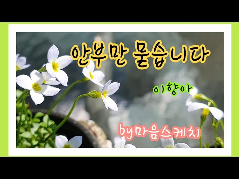 안부만 묻습니다 나는 여기 없습니다 -이향아