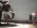 Elephant Encounter Katz