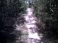 videos de chris and me riding some trail at markham park 1/1/09