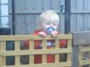 Kayd in the vege patch Kayd in the vege patch