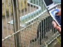 A GALERA DA EDUCAÇÃO FÍSICA DA UNIRB, ABALANDO AS ESTRUTURAS DO ZOO BOTANICO ROLF.OPS!!A MELHOR TURMA!