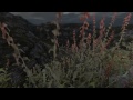 [Released February 14, 2012] On this episode of First Impressions, I take a look at the haunting narrative-focused Dear Esther. This is the retail remake of the original Source engine mod, redone in its own new engine by thechineseroom. In Dear Esther the player takes on the role of a man washed up on a bleak, deserted Hebridean (islands west of Scotland) island. As you traverse the island, you are given semi-randomized narrative fragments that collectively tell the tale of the island and it's people. However, because these fragments are not always the same, no two playthroughs will deliver the same exact story. The game is an interesting exploration into a still interactive but heavily narrative driven direction for gaming. There are no monsters or even other people to block your path, nothing but time and choice preventing the player from seeing what there is to see. As a side note, the irritating hissing my mic continues to generate has finally driven me to replace the soundcard that broke, so expect a bump in audio quality in the near future. (Hopefully by then I'll be starting my next proper LP).