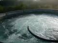 Wastewater Equipment SCM Tecnologie-SUBMERSIBLE AERATORS