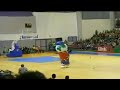 Awesome Mascot Dance at Halftime