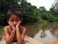 Yasuní Green Gold Campaign Video