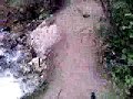 biking steamboat on creekside