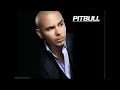 Pitbull – Back In Time