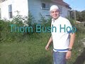 Thorn Bush Hop Thorn Bush Hop