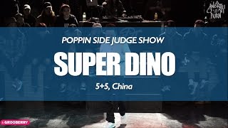 Dino – ENERGY II BURN VOL.1 POPPING SIDE JUDGE SHOW