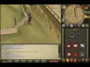 My level 21 Pure My level 21 Pure