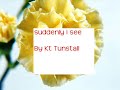 KT Tunstall Suddenly I See with lyrics