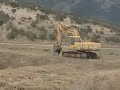 tala ilegal de bosque nativo en chile 4/4