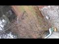 videos de Cryptozoology