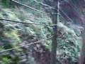 Hakone Tozan Railway（箱根登山鉄道）