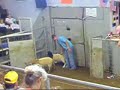 Summersville Goat & Sheep Auction Summersville Goat & Sheep Auction