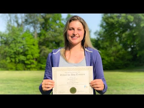 video-linktoworks-Service Dog Trainer Course