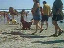 rALF 2007 rALF 2007