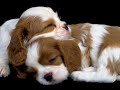for the people having a bad day