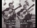 Baile por Soleá y por Tientos