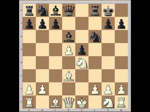 chess chess