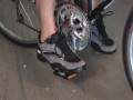 Bicycling Essentials for Adults