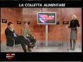 videos de VSSP in Tv: La giornata della Colletta Alimentare - seconda parte