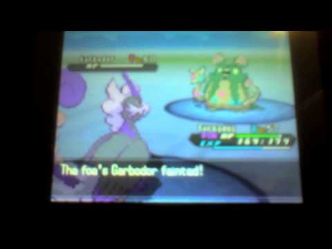 how to transfer pokemon from hg to black