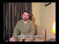 Carlsberg Elephant