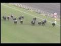 1999 天皇賞 (秋) Tenno Sho autumn