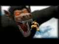 Dragon Ball Z Ultimate Tenkaichi - PS3 / X360 - Ready, set, fight!