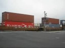 Three Trains: Freight, Amtrak, Ace At Centerville Station