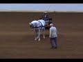 VAHA Sport Horse Show - April 2007 VAHA Sport Horse Show - April 2007