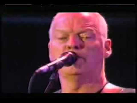 Pink Floyd - Comfortably Numb - Live 8