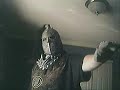Welcome to the ***** Channel! (read information)