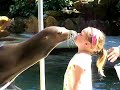 Sea lion kiss